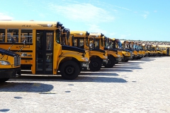 Whaling City Transit  508.679.0100